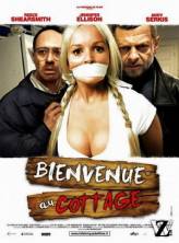 Коттедж / The Cottage (2008) DivX